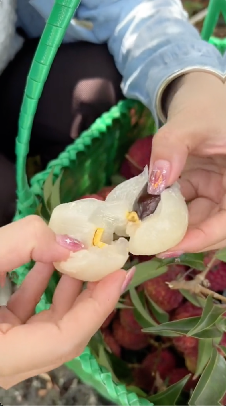 Xuất hiện quả vải "siêu to khổng lồ" ngang bàn tay người, cư dân mạng săn lùng tìm mua - Ảnh 4