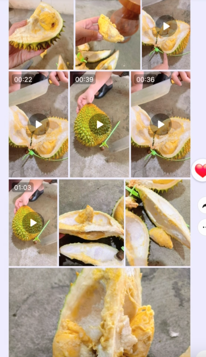 Bán sầu riêng online, TikToker Thiện Nhân bị trả lại tận 800kg, hỏng hết và mất luôn vốn liếng - Ảnh 8