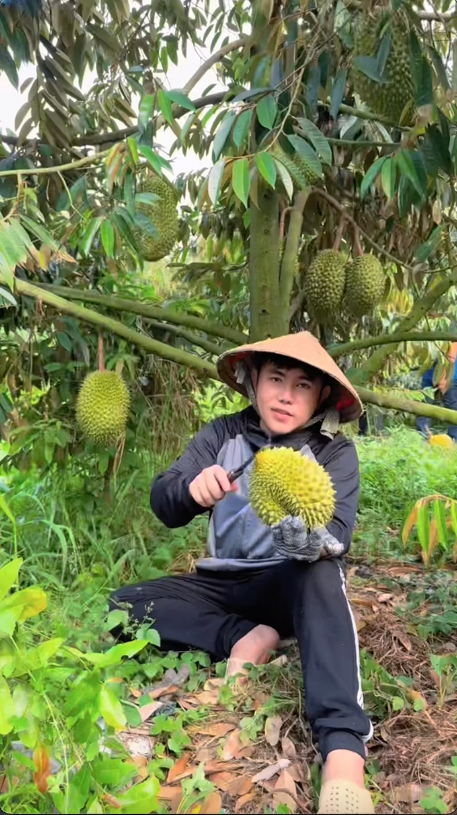 Bán sầu riêng online, TikToker Thiện Nhân bị trả lại tận 800kg, hỏng hết và mất luôn vốn liếng - Ảnh 9