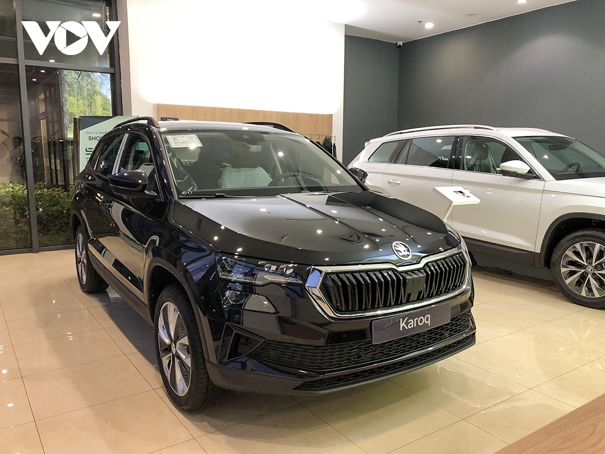 Skoda đồng loạt giảm giá bộ đôi SUV Karoq và Kodiaq cả trăm triệu đồng - Ảnh 3