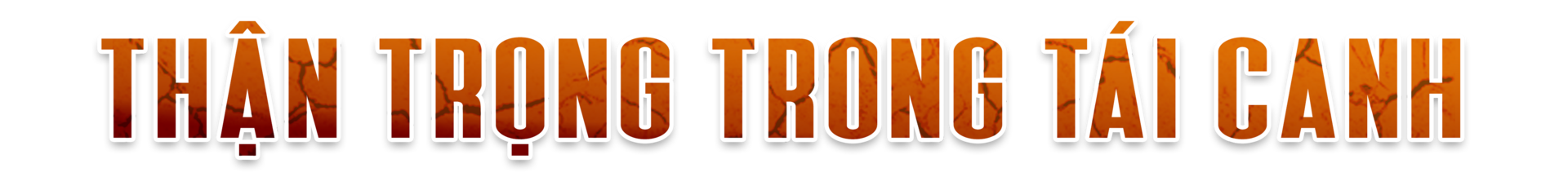 Khô hạn khốc liệt ở Tây Nguyên: Cứu 'cây tỷ đô' thế nào? - Ảnh 1