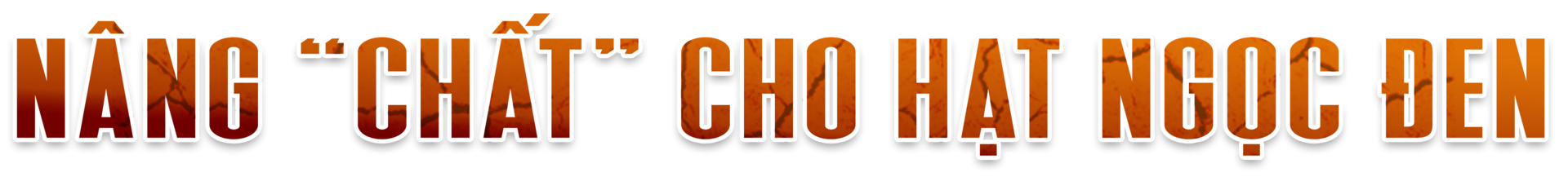 Khô hạn khốc liệt ở Tây Nguyên: Cứu 'cây tỷ đô' thế nào? - Ảnh 4