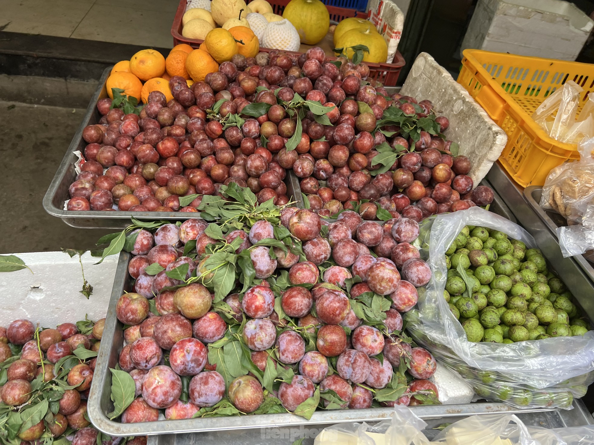 Mận hậu đổ bộ Sài thành, 'giá nào cũng có' - Ảnh 9