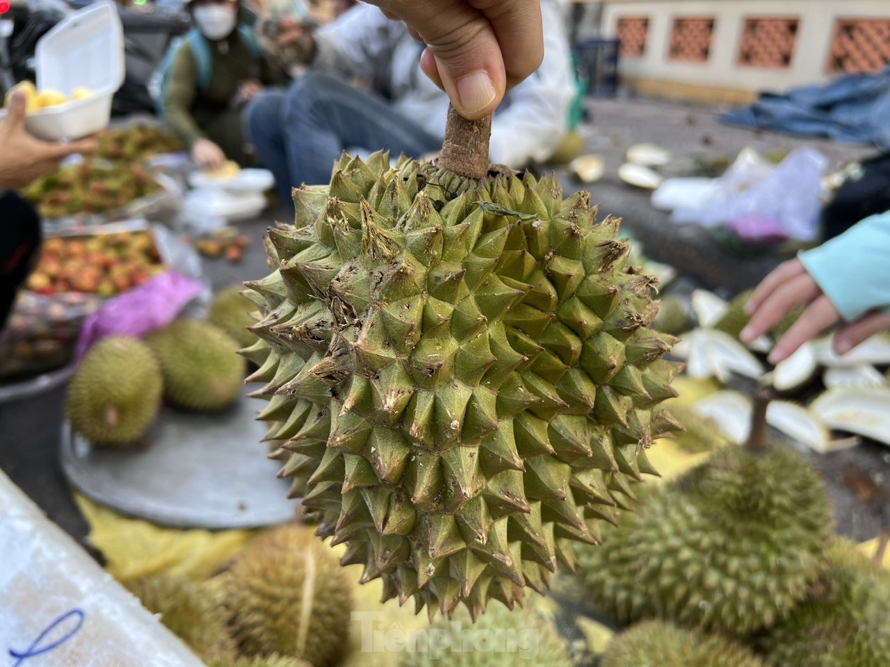 Loạn giá sầu riêng ở TPHCM - Ảnh 2