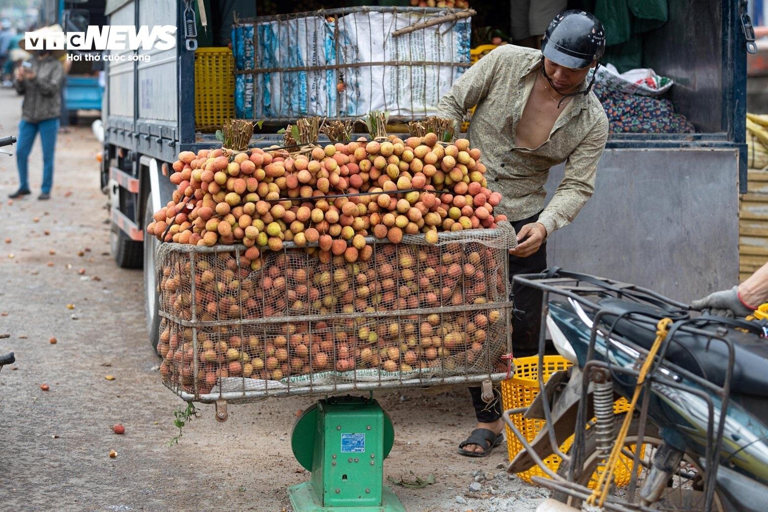 Thủ phủ vải thiều Lục Ngạn mất mùa, giá tăng gấp rưỡi - Ảnh 9