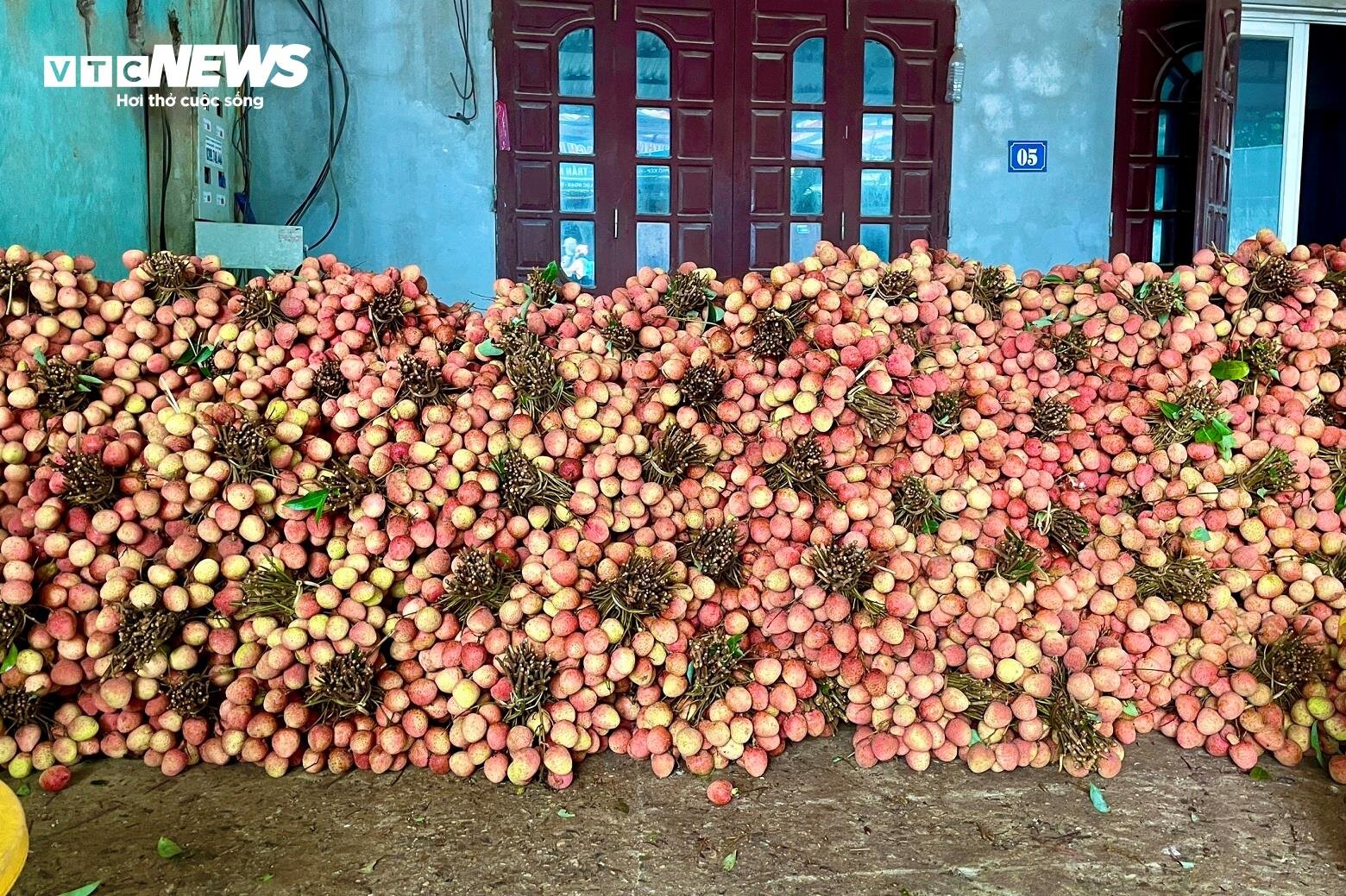 Thủ phủ vải thiều Lục Ngạn mất mùa, giá tăng gấp rưỡi - Ảnh 15