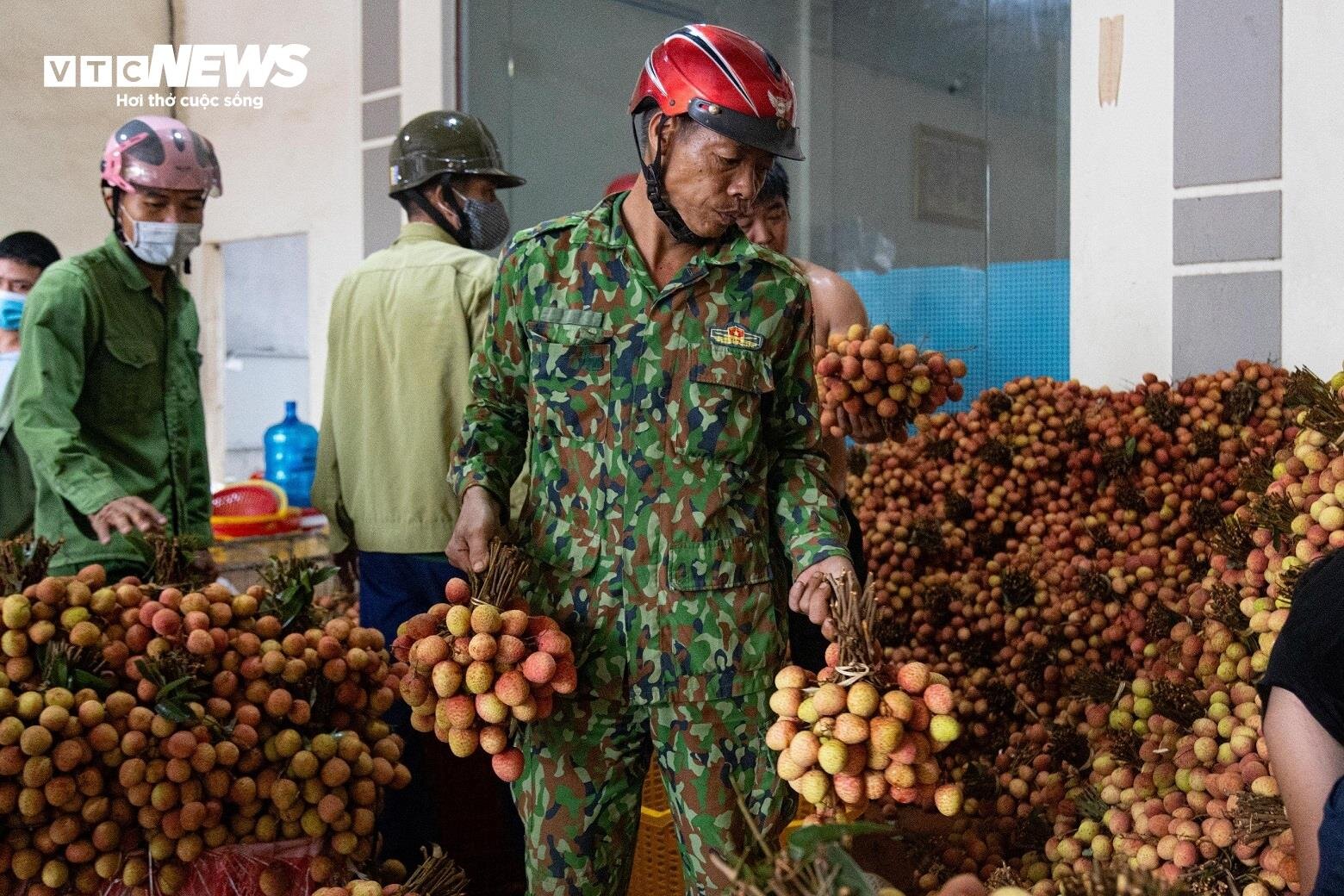 Thủ phủ vải thiều Lục Ngạn mất mùa, giá tăng gấp rưỡi - Ảnh 13