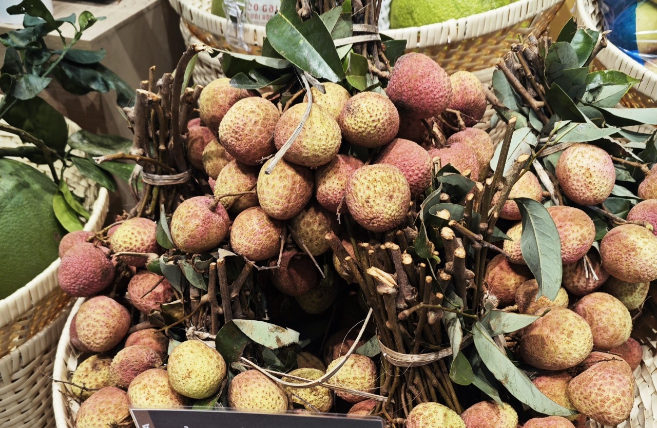 Vải thiều Tây Nguyên đầu mùa tăng giá gấp đôi, vì sao? - Ảnh 1