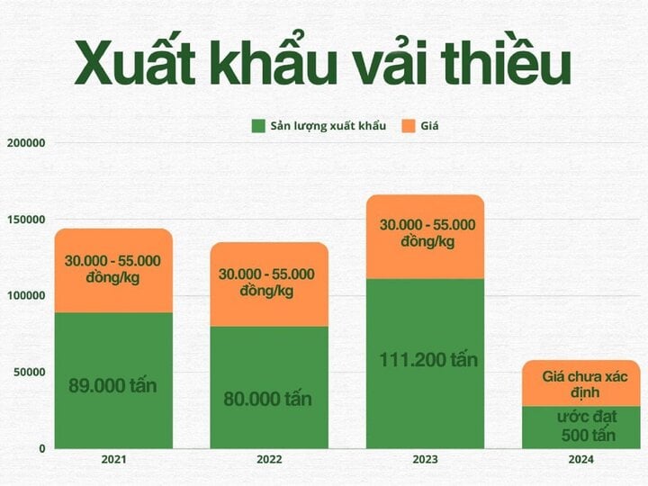 Vải thiều mất mùa, doanh nghiệp giảm sản lượng xuất khẩu - Ảnh 3