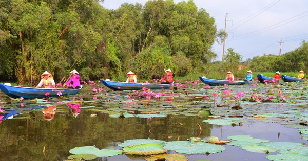 Công ty TNHH du lịch Tháp Mười 5 năm mới nộp 500 triệu đồng tiền thuê đất