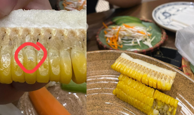 Vụ khách tố có trứng côn trùng trên bắp ngô nhưng nhân viên lại nói là "sữa ngô": Đại diện nhà hàng chính thức lên tiếng! - Ảnh 1