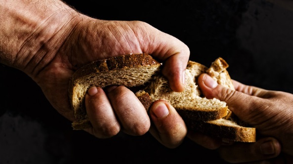 Thế giới đang hướng tới 'cuộc chiến lương thực' - Ảnh 1