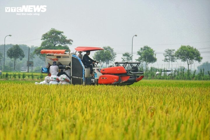 Đề xuất giảm phí trước bạ ô tô, đánh thuế VAT với phân bón: Có gây nghịch lý? - Ảnh 3