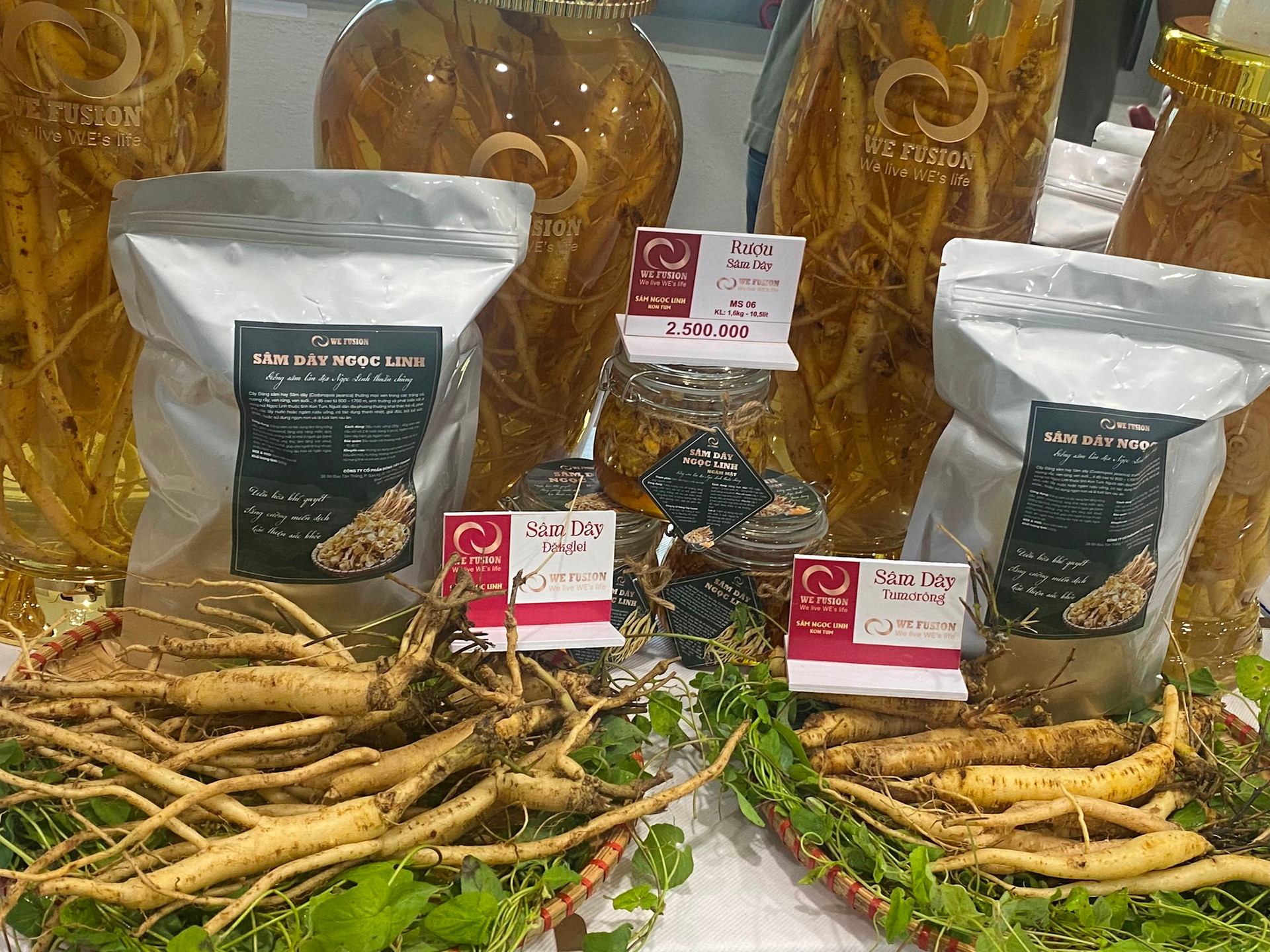 Việt Nam sở hữu 'thần dược' quý hiếm, cực kỳ tốt cho sức khỏe, chuyên gia Hàn Quốc hiến kế nâng tầm giá trị - Ảnh 1