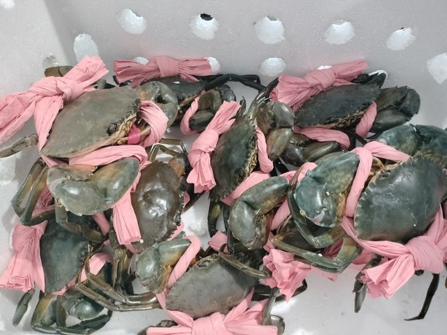 Thực hư thông tin cua Cà Mau khó xuất khẩu Trung Quốc - Ảnh 2