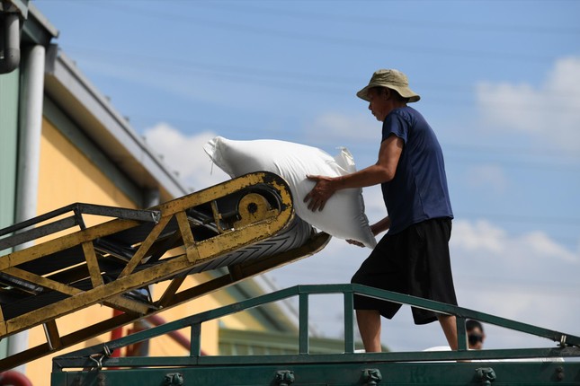 Cơ hội mới cho gạo Việt - Ảnh 1