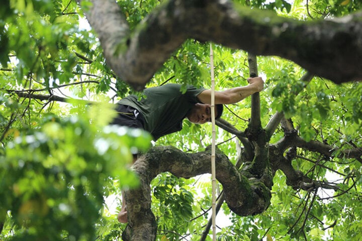 Kiếm tiền mưu sinh với nghề 'treo người' giữa lưng chừng trời ở Hà Nội - Ảnh 1