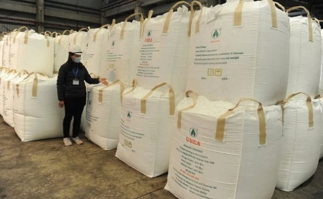 Canada đưa sang Việt Nam hàng chục nghìn tấn mặt hàng quan trọng với giá cực rẻ: Nhập khẩu tăng hơn 1.900%, Trung Quốc cấm xuất khẩu khiến toàn cầu khan hàng - Ảnh 1