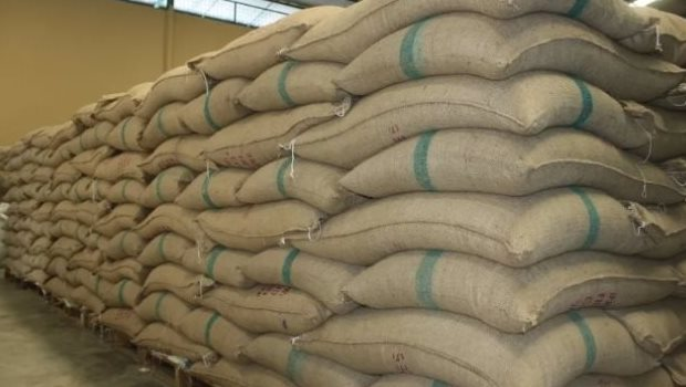 Quốc gia nhập khẩu lớn nhất thế giới bất ngờ giảm 1 nửa thuế đối với một loại nông sản cực quan trọng, Việt Nam sắp hưởng lợi lớn - Ảnh 1