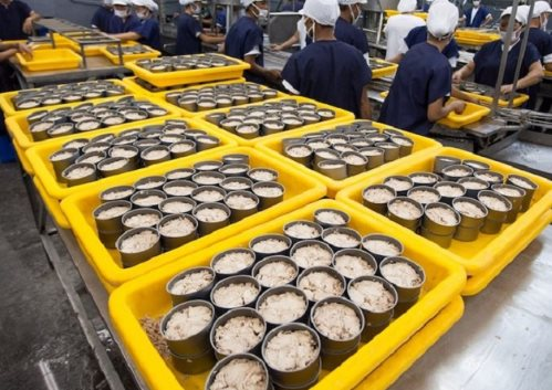 Một mặt hàng của Việt Nam đang được ưa chuộng khắp châu Âu: Nước ta xuất khẩu đứng top 5 thế giới, Ba Lan tăng nhập khẩu đến 300% - Ảnh 1