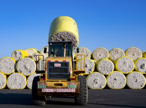 Mỹ, Brazil, Úc đua nhau mang một loại nông sản quý đến Việt Nam: Chi 1 tỷ USD gom hàng, nước ta nhập khẩu đứng thứ 3 toàn cầu - Ảnh 1