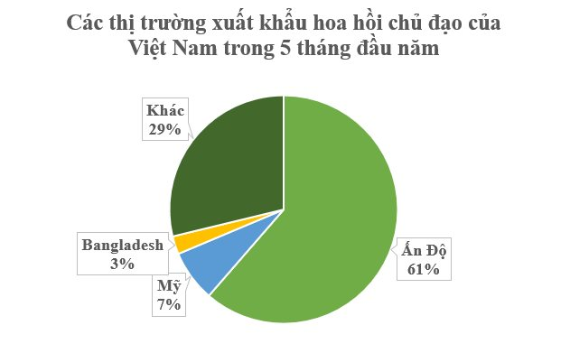 'Cánh hoa nghìn tỷ' cực hiếm của thế giới mọc đầy tại Việt Nam: Ấn Độ có bao nhiêu mua bấy nhiêu, nước ta xuất khẩu đứng thứ 2 toàn cầu - Ảnh 3