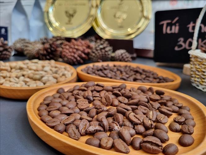 Kinh tế 6 tháng: Xuất siêu nông lâm thủy sản tăng trên 62% - Ảnh 1