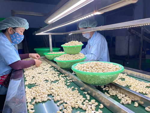 Xuất khẩu nông sản vẫn còn mối lo - Ảnh 1