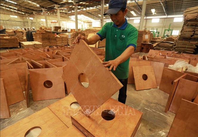 Kinh tế 6 tháng: Xuất siêu nông lâm thủy sản tăng trên 62% - Ảnh 2