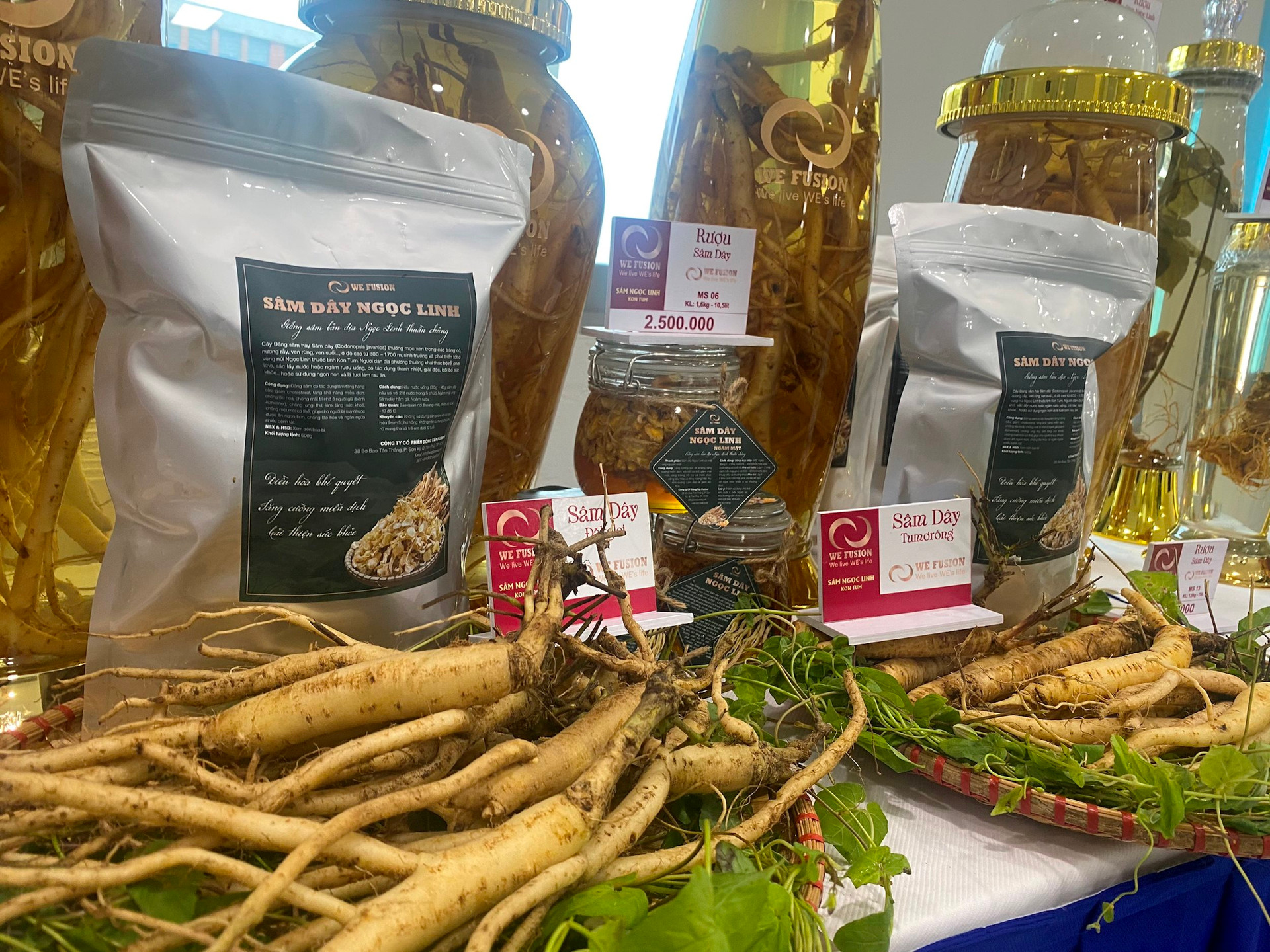 Việt Nam sở hữu 'thần dược' quý hiếm, cực kỳ tốt cho sức khỏe, chuyên gia Hàn Quốc hiến kế nâng tầm giá trị - Ảnh 3