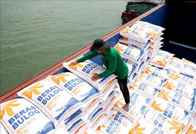 Nguồn cung tăng khiến giá gạo xuất khẩu đi xuống - Ảnh 1