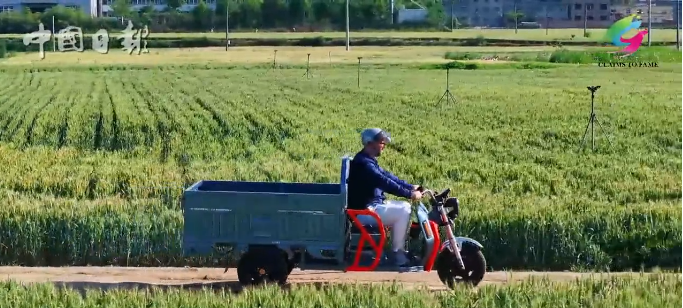 Xe ba gác gây sốt mạng xã hội - Ảnh 2