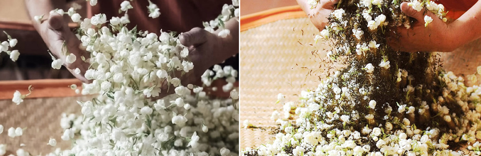 Một thành phố ở Trung Quốc chế biến mặt hàng mang lại hơn 2 tỷ USD, ở Việt Nam cũng không thiếu - Ảnh 3