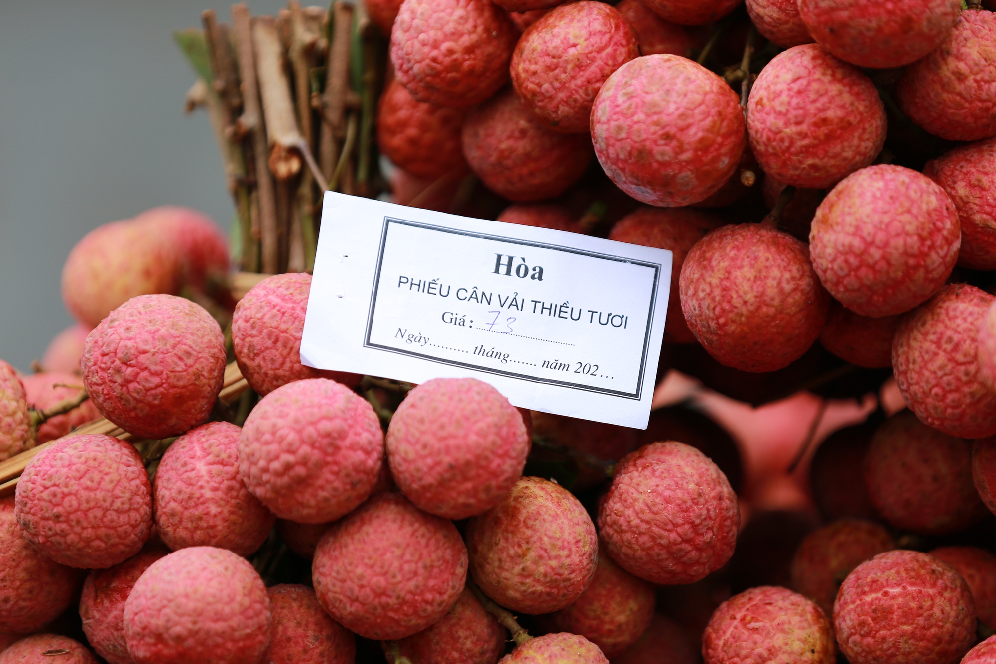 Bắc Giang: Người dân phấn khởi vì giá vải thiều cao chưa từng có, gần 100.000 đồng/kg - Ảnh 4