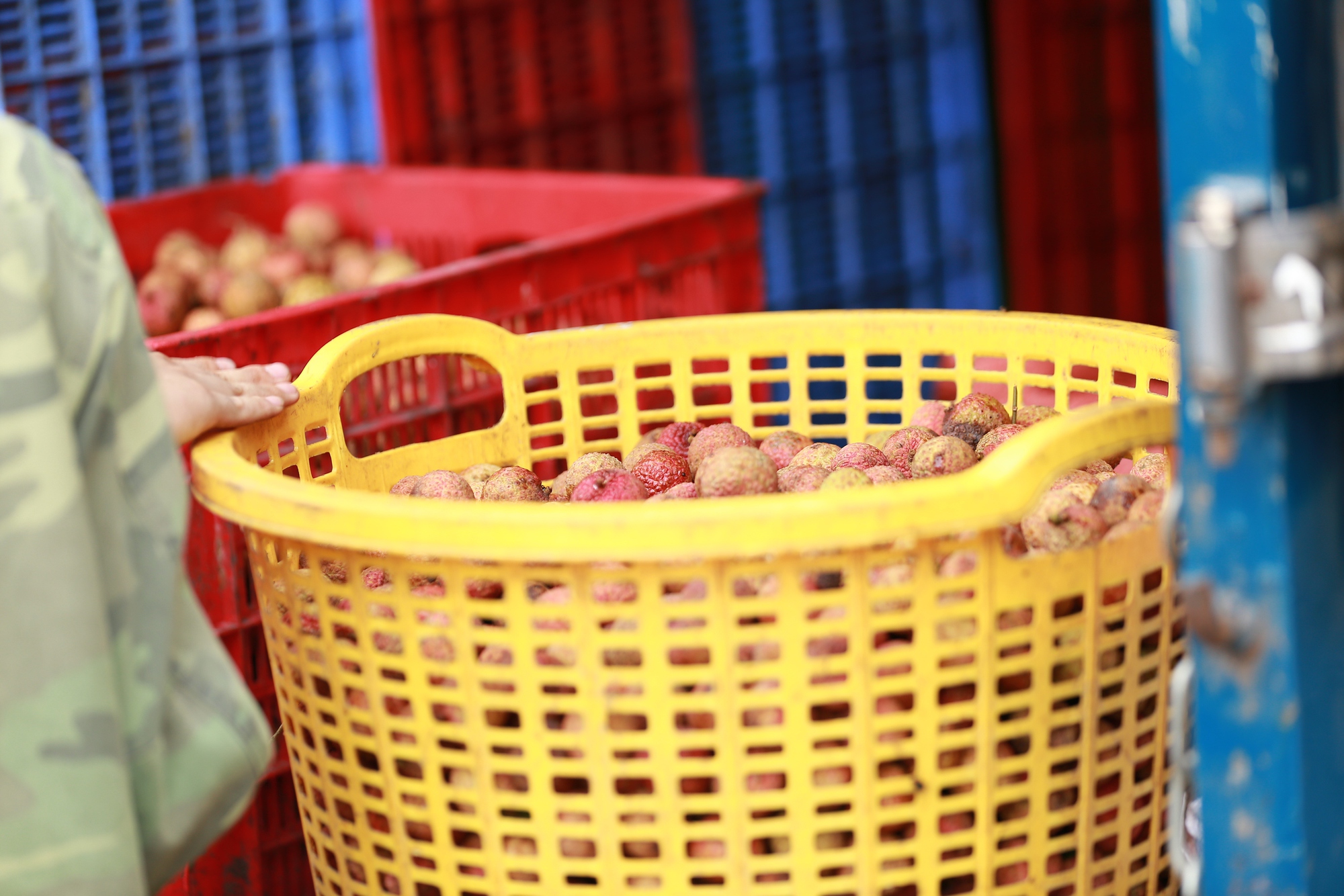 Bắc Giang: Người dân phấn khởi vì giá vải thiều cao chưa từng có, gần 100.000 đồng/kg - Ảnh 19