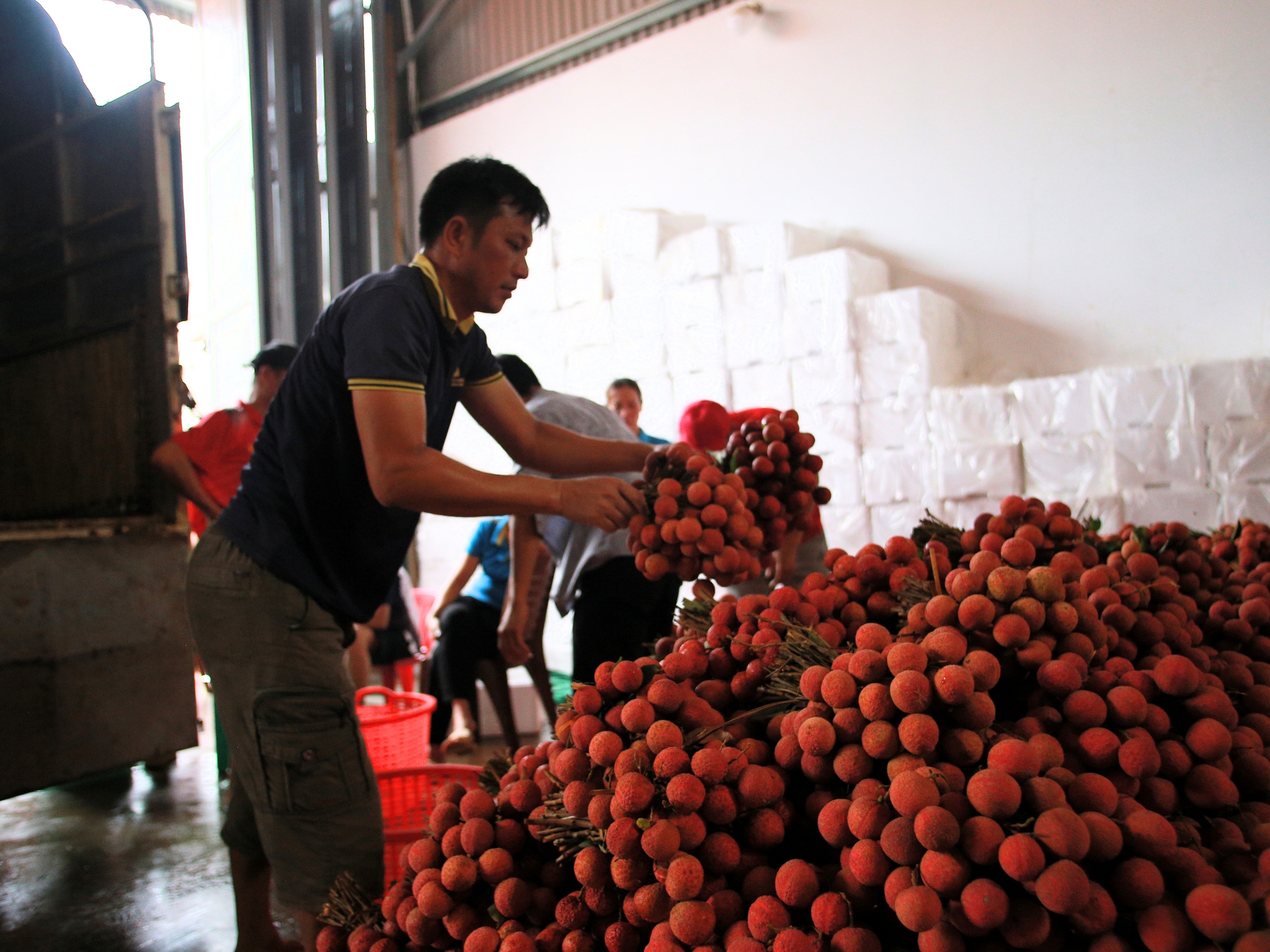 Bắc Giang: Người dân phấn khởi vì giá vải thiều cao chưa từng có, gần 100.000 đồng/kg - Ảnh 12