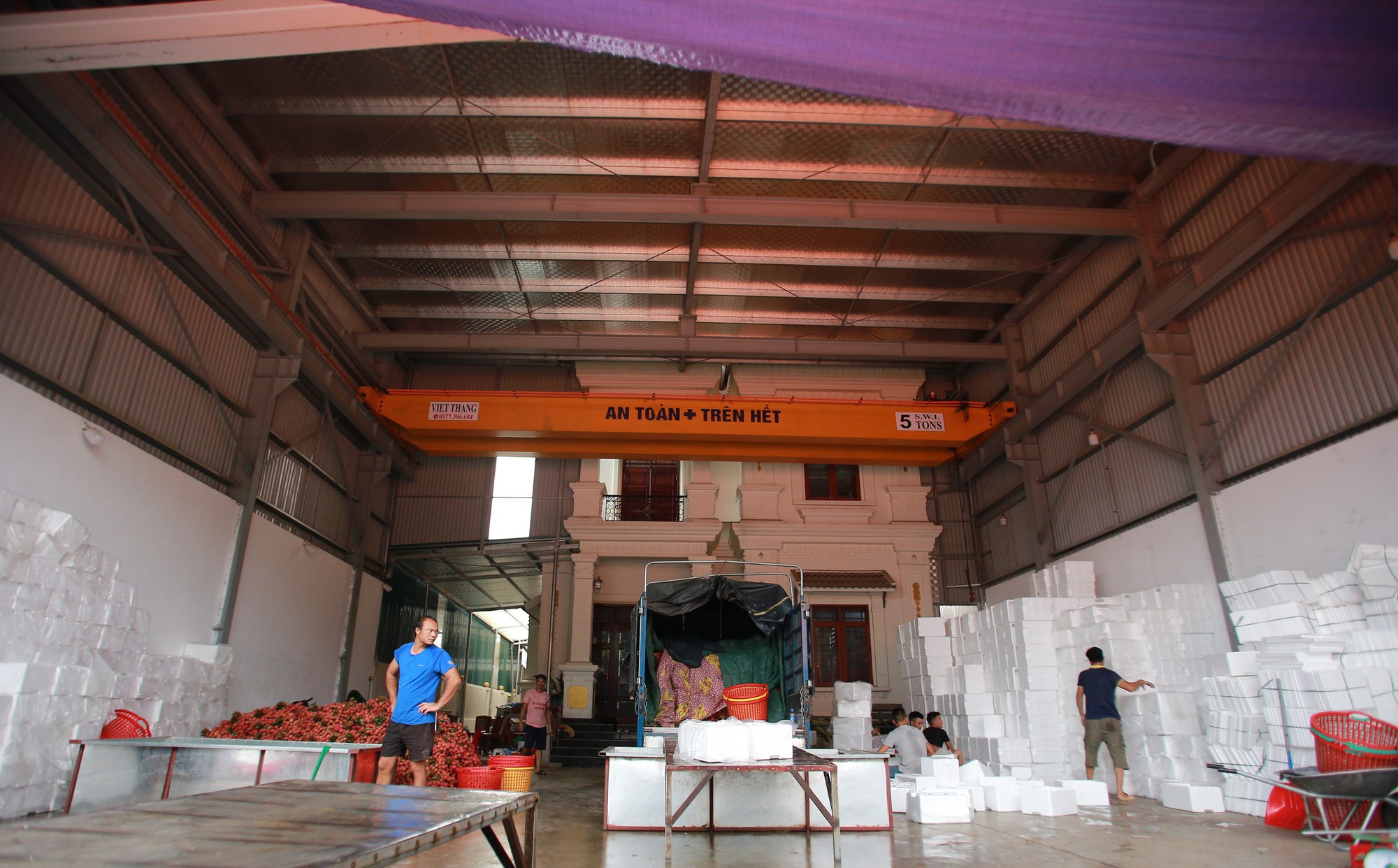 Bắc Giang: Người dân phấn khởi vì giá vải thiều cao chưa từng có, gần 100.000 đồng/kg - Ảnh 13