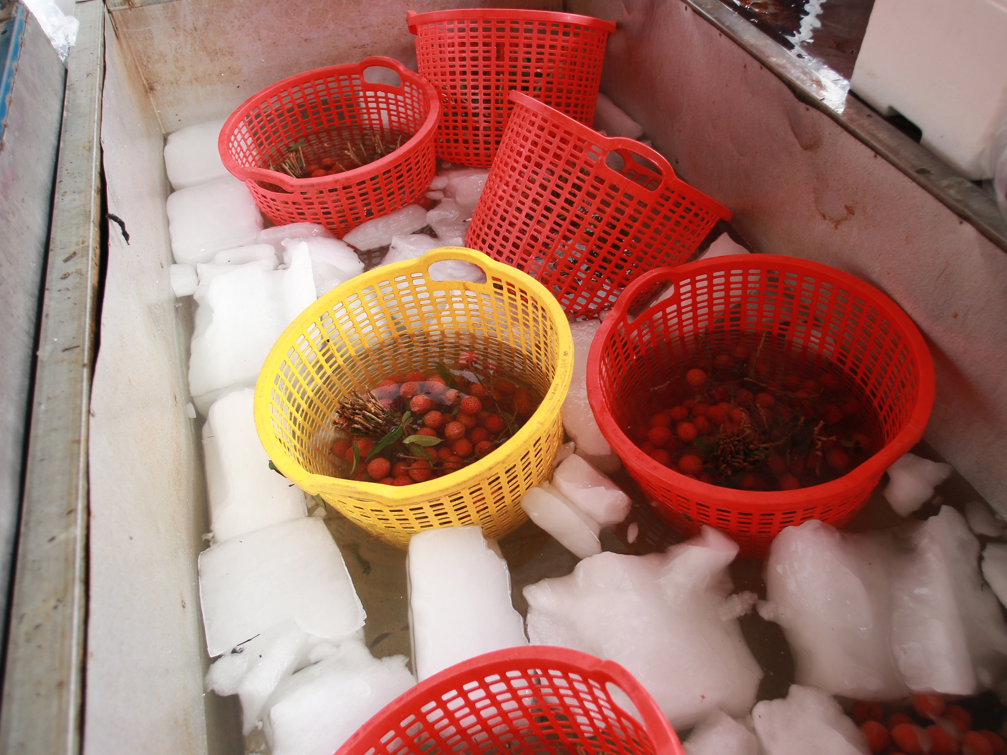 Bắc Giang: Người dân phấn khởi vì giá vải thiều cao chưa từng có, gần 100.000 đồng/kg - Ảnh 14