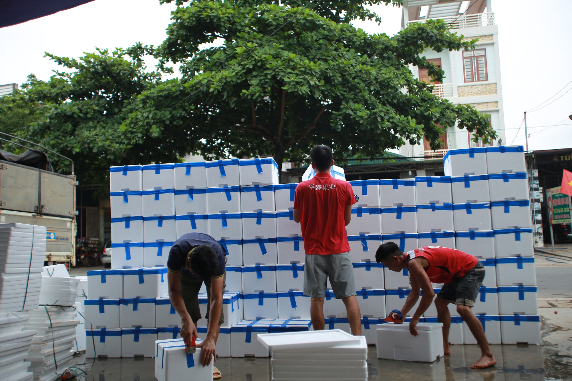 Bắc Giang: Người dân phấn khởi vì giá vải thiều cao chưa từng có, gần 100.000 đồng/kg - Ảnh 16