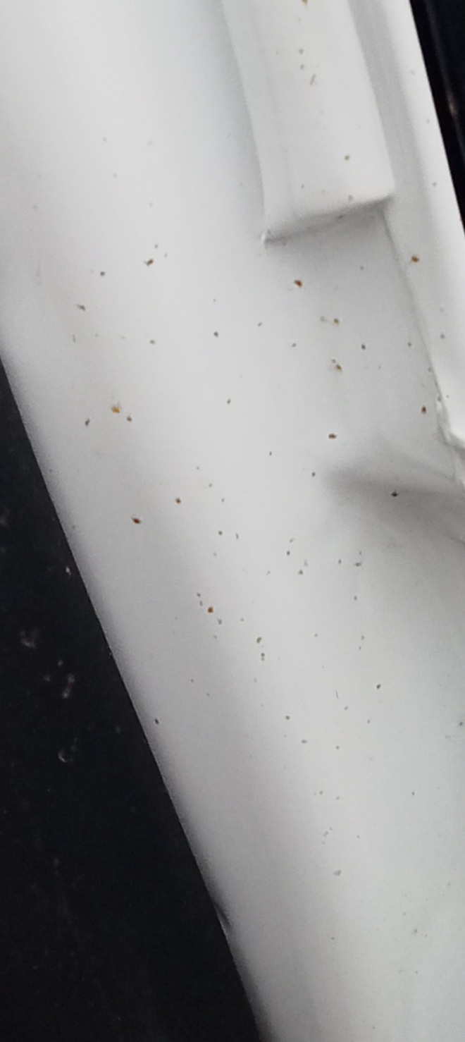 Vừa nhận Honda BR-V đã phát hiện hoen rỉ, chủ xe tại Vĩnh Phúc muốn đổi xe mới, hãng chỉ đồng ý thay phụ tùng và sơn lại - Ảnh 3