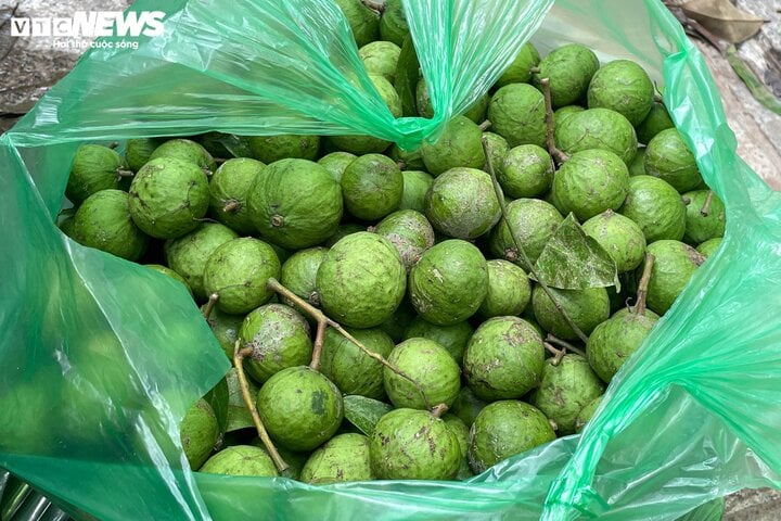 Kiếm tiền mưu sinh với nghề 'treo người' giữa lưng chừng trời ở Hà Nội - Ảnh 5