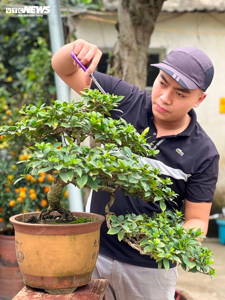 Nghề kiếm tiền triệu mỗi ngày tại làng cây cảnh - Ảnh 1