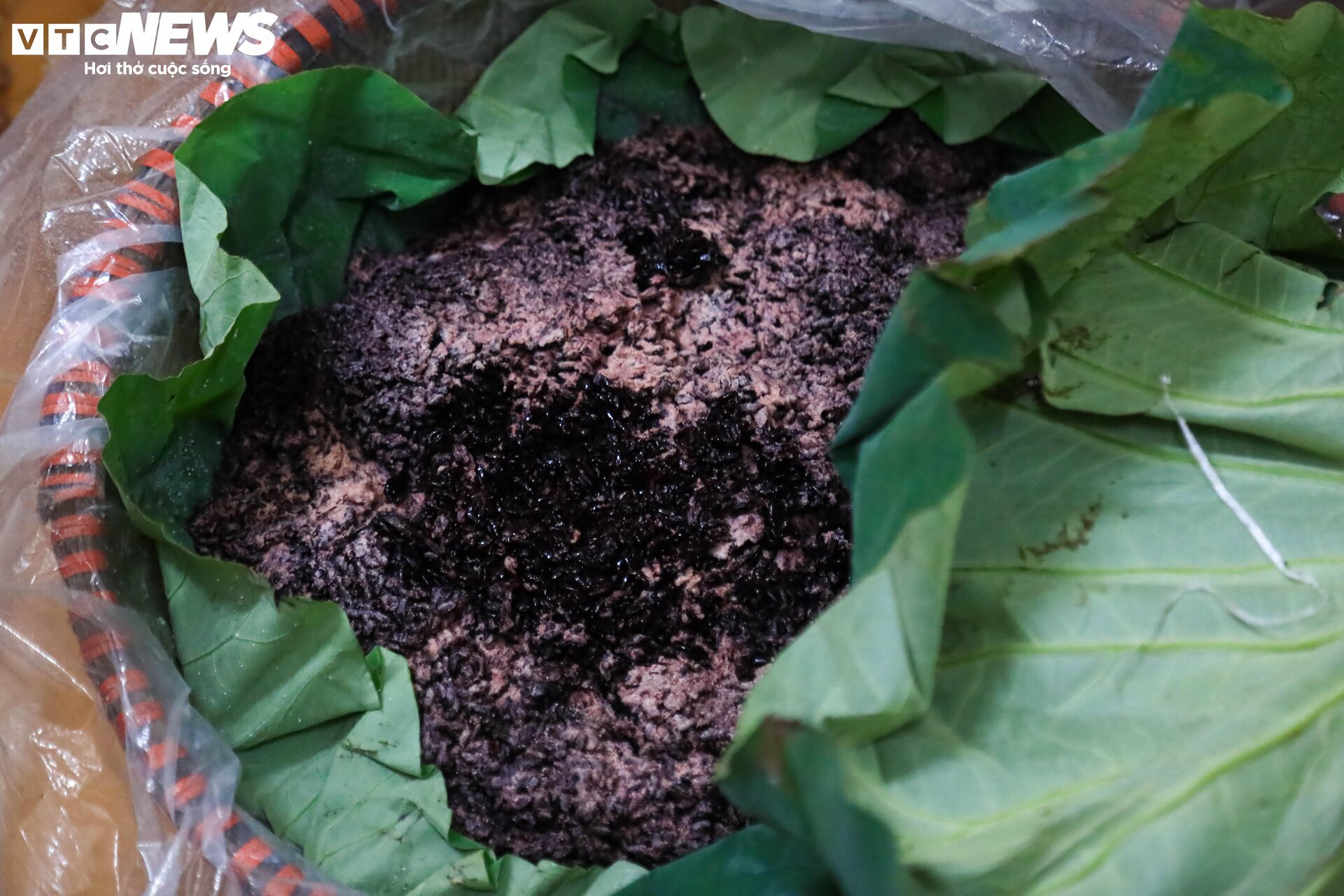 'Thủ phủ' rượu nếp ở Hà Nội sáng đèn suốt đêm trước ngày Tết Đoan Ngọ - Ảnh 13