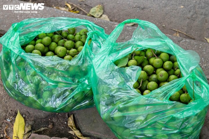 Kiếm tiền mưu sinh với nghề 'treo người' giữa lưng chừng trời ở Hà Nội - Ảnh 6