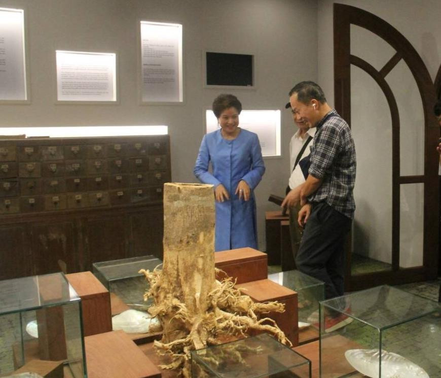 Khách nước ngoài đến Việt Nam tăng cao, du lịch sức khỏe dự báo trở thành ‘miếng bánh ngọt’ hấp dẫn - Ảnh 1