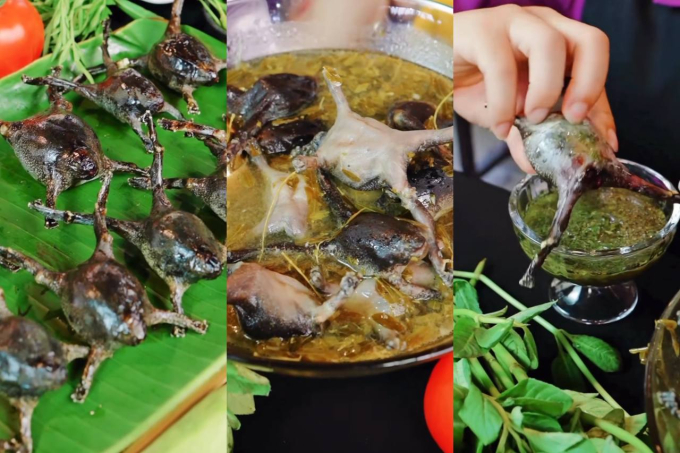Món ăn gây tranh cãi hóa ra là đặc sản của Ninh Thuận: Vẻ ngoài khiến nhiều người “khiếp vía” nhưng giá cao ngất ngưởng - Ảnh 8