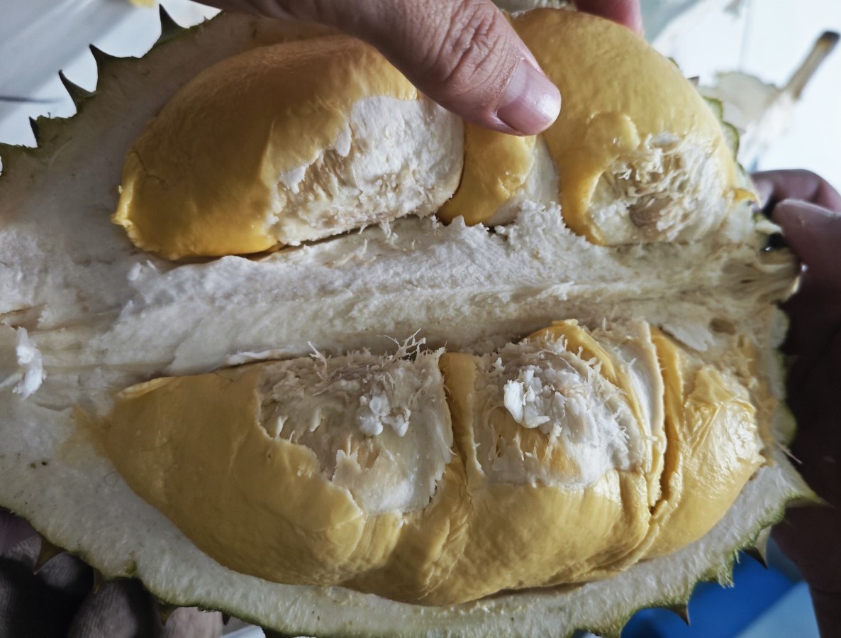 Mì ăn liền "thoát nạn", sầu riêng, thanh long vẫn bị kiểm tra khi xuất khẩu sang EU - Ảnh 1