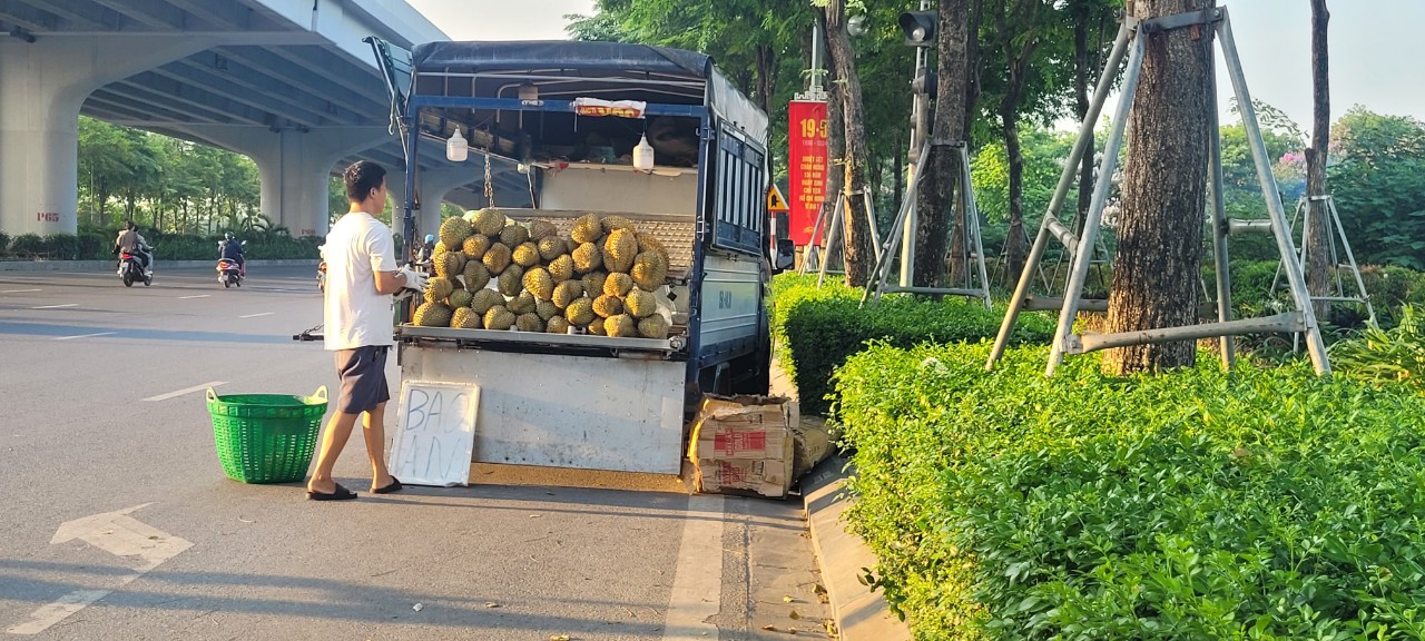 Bất ngờ với giá sầu riêng giảm sốc ở Hà Nội 70 ngàn/kg - Ảnh 4