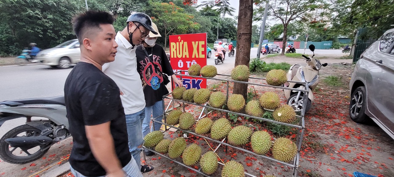 Bất ngờ với giá sầu riêng giảm sốc ở Hà Nội 70 ngàn/kg - Ảnh 3