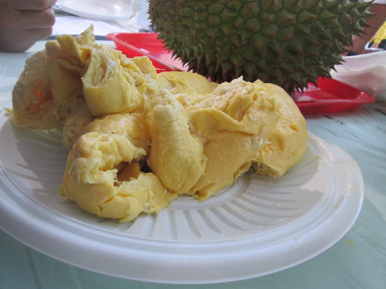 Sầu riêng chín cây và những sự thật bất ngờ - Ảnh 2